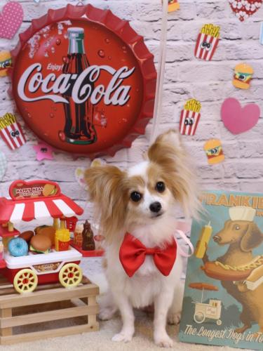 20230908ロゼちゃん